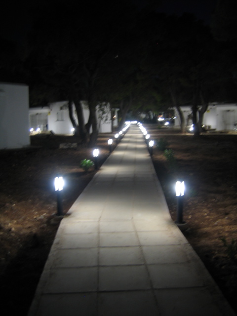 Walk This Way