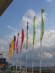 Flags