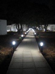 Walk This Way